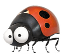 lady bug